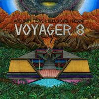 Present Voyager 8