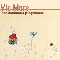 The Consumer Programme