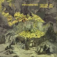 Psychometric Testing By...