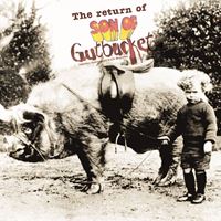 Return Of Son Of Gutbucket - An Underground Canadian Psych Explosion
