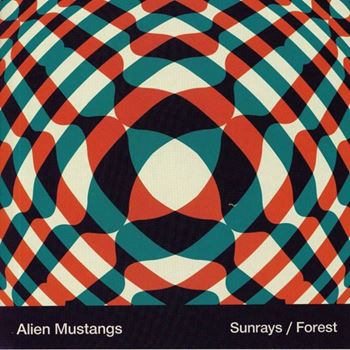 Sunrays / Forest