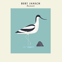 Avocet (40th Anniversary Edition)