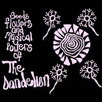 Seeds, Flowers And Magical Powers Of The Dandelion