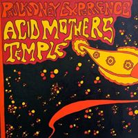 Paul Kidney Experience / Acid Mothers Temple