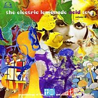 The Electric Lemonade Acid Test Volume 2 (An Anthology Of The Transatlantic And Big T Labels 1967-69)