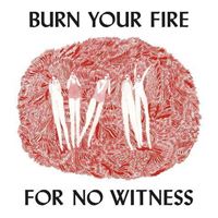 Burn Your Fire For No Witness