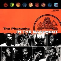 In The Basement (RSD 2022)