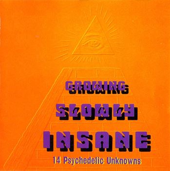 Growing Slowly Insane (14 Psychedelic Unknowns)