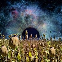Horizons of Events
