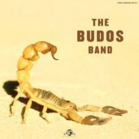 The Budos Band II