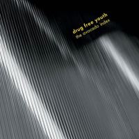 The Avocado Index (reissue)